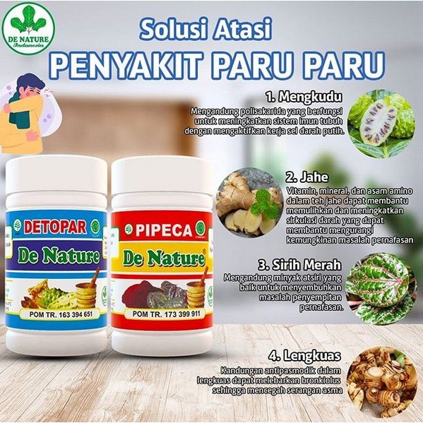 Jual Obat Herbal Detox Penyakit Paru Paru Asma Tbc Bronkitis Batuk