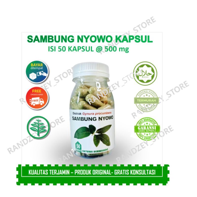 Jual Obat Herbal Tekanan Darah Tinggi Kapsul Sambung Nyowo Jamu Kanker