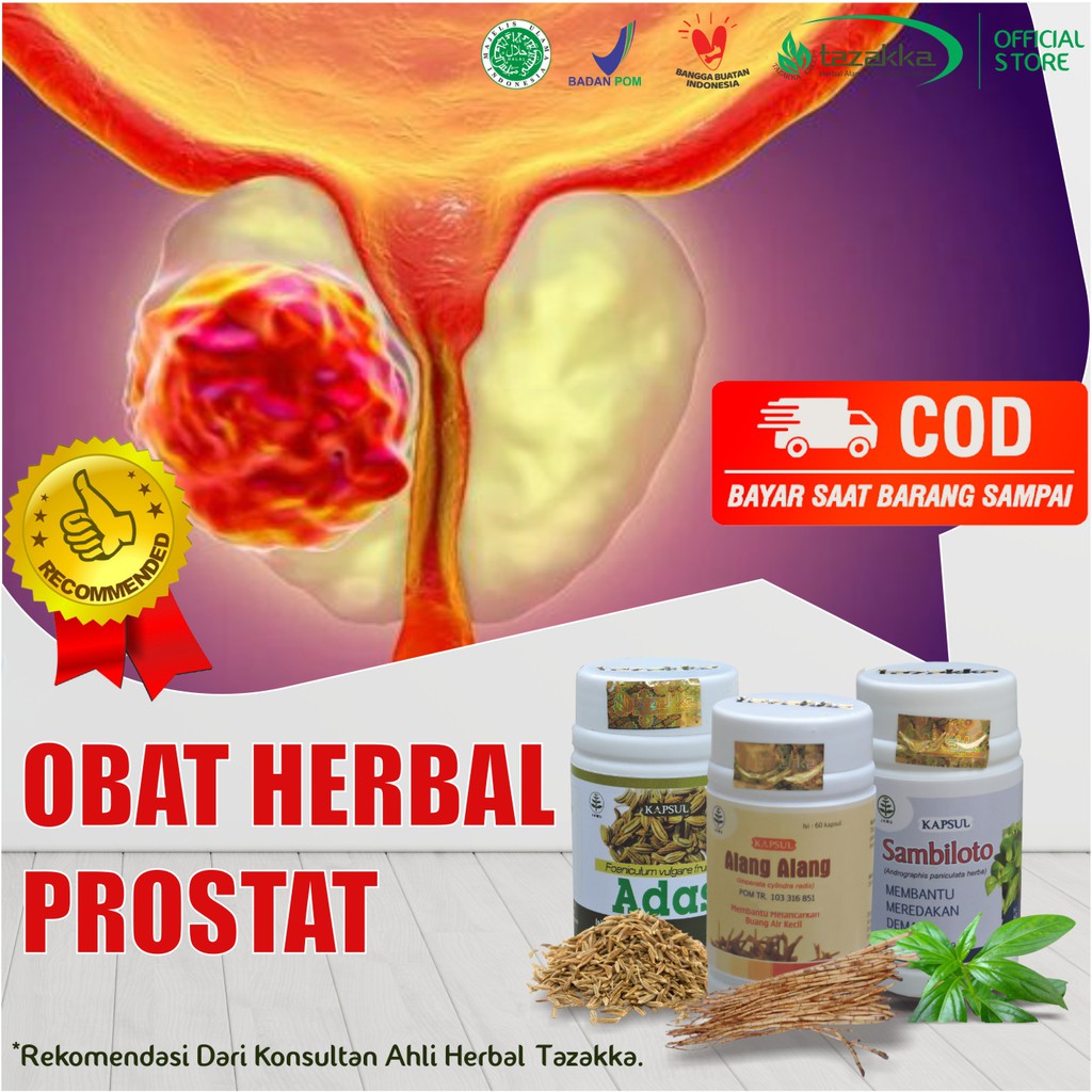 Jual Obat Prostat Herbal Ekstrak Daun Sambiloto Akar Alang Alang Biji