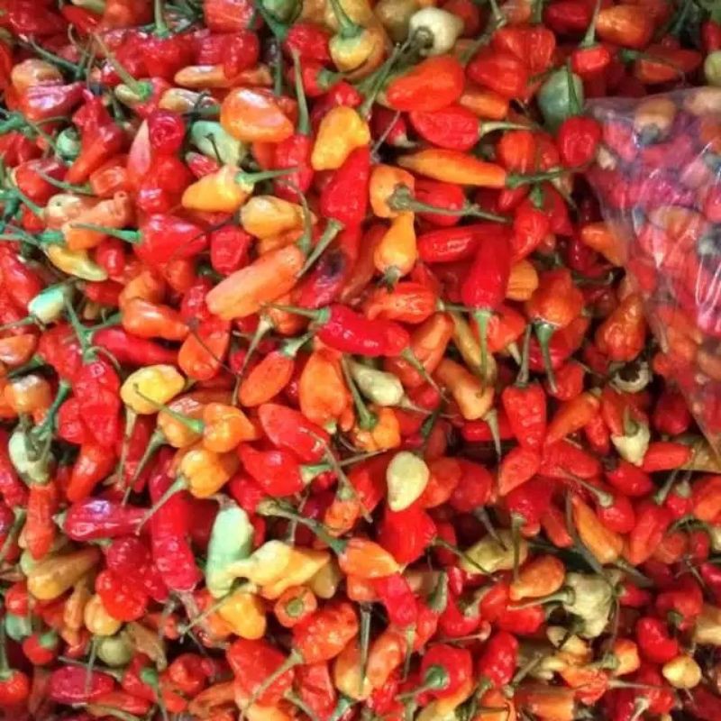 Jual Cabe Rawit Merah Gram Shopee Indonesia