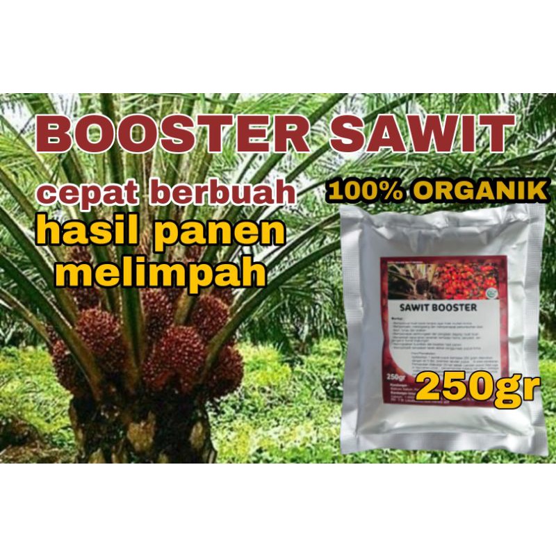 Jual PUPUK SAWIT ORGANIK BOOSTER SAWIT BIAR CEPAT BERBUAH LEBAT DAN