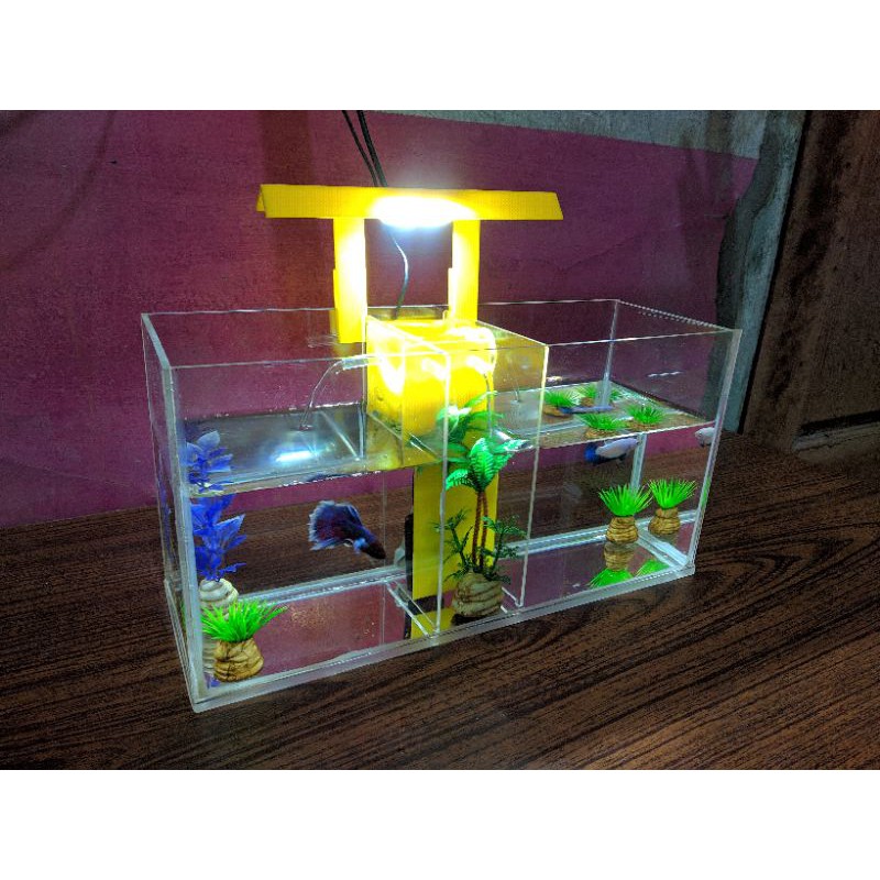 Jual Aquarium Soliter Akrilik Ikan Cupang Guppy Ikan Hias Plus Pompa