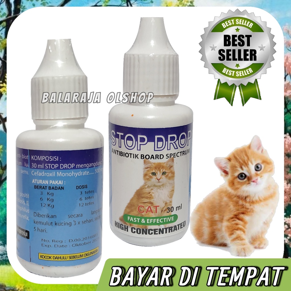 Jual Antibiotik Kucing Obat Demam Flu Batuk Diare Infeksi Pencernaan