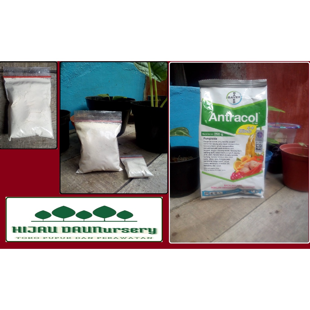 Jual Fungisida Antracol 70wp Kemasan Repack Shopee Indonesia