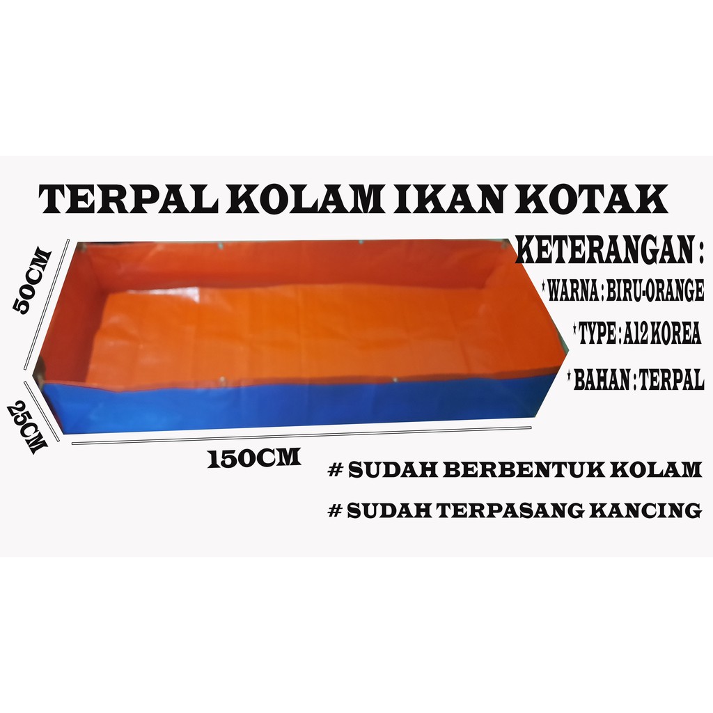 Jual Terpal Kolam Ikan Cupang 150x50x25 A12 Korea Original Cocok Buat