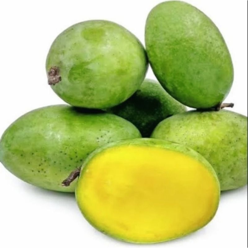 Jual Buah Mangga Kweni Mangga Kweni Kg Shopee Indonesia