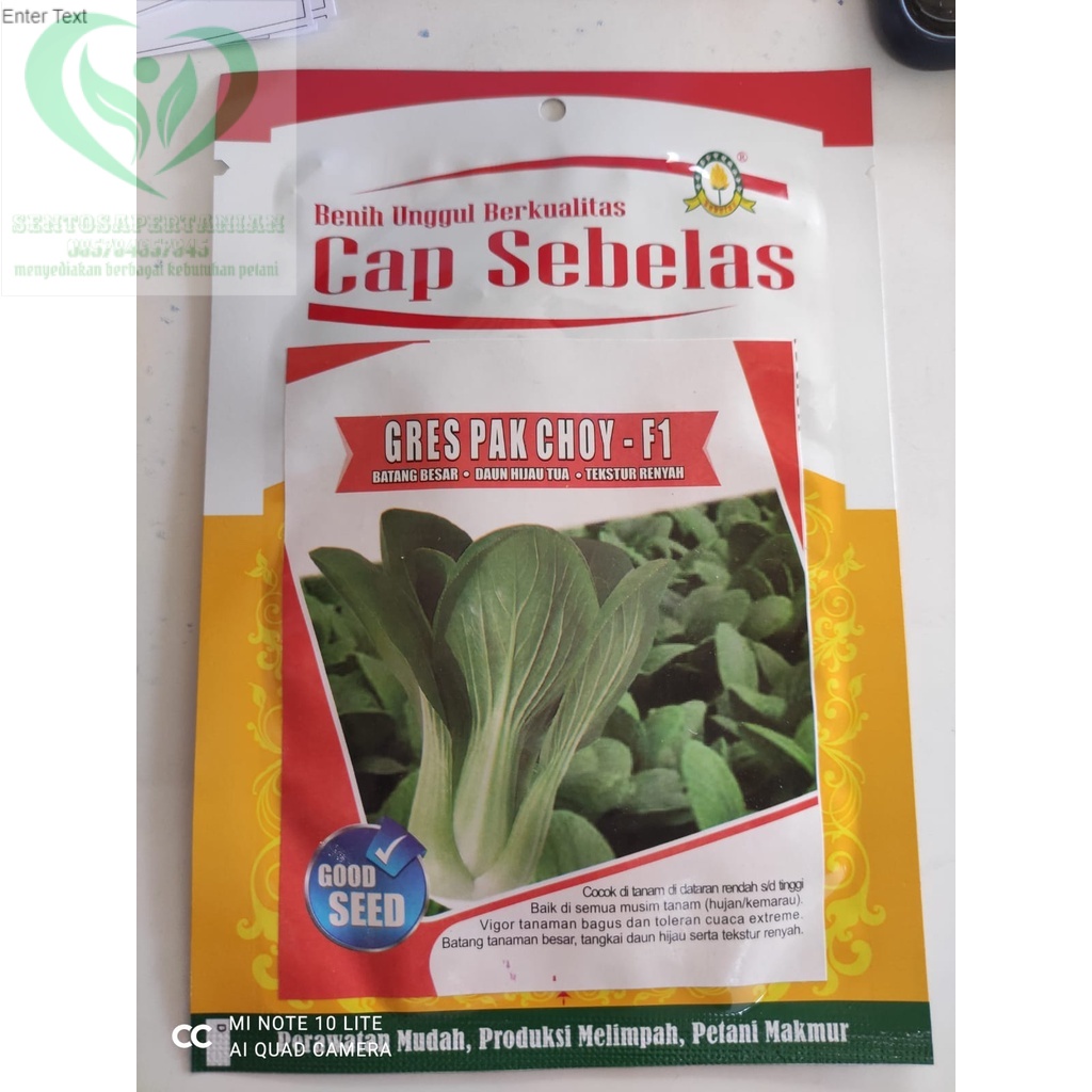 Jual Benih Sawi Daging Hibrida GRES PAK CHOI F1 Isi 10gr Dari CAP