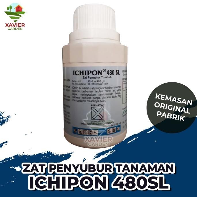 Jual Ichipon Sl Zpt Zat Pengatur Tumbuh Pematang Buah Ml