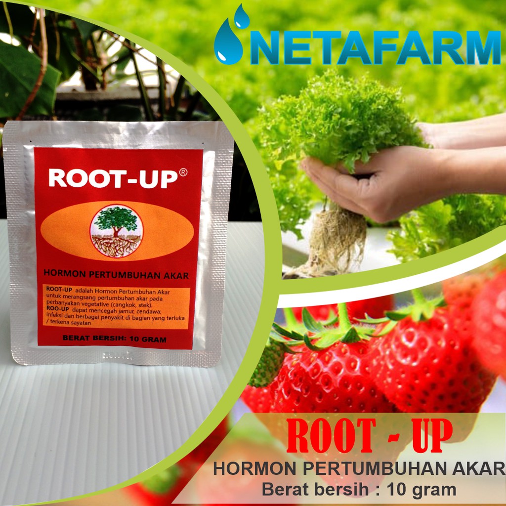 Jual Root Up Pupuk Hormon Pertumbuhan Akar Repacking Gr Shopee