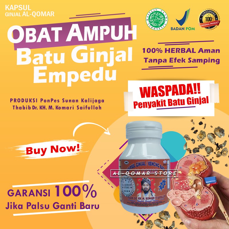 Jual Obat Batu Ginjal Batu Empedu Gagal Ginjal Prostat Infeksi Ginjal