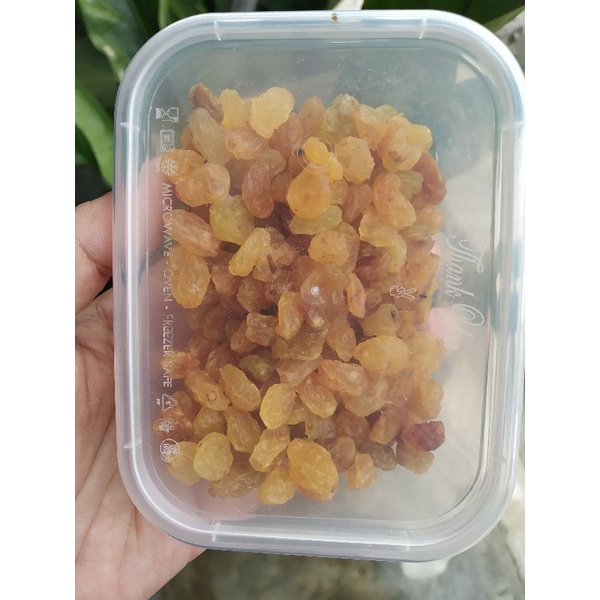 Jual Kismis Manis Madu Simin Shopee Indonesia