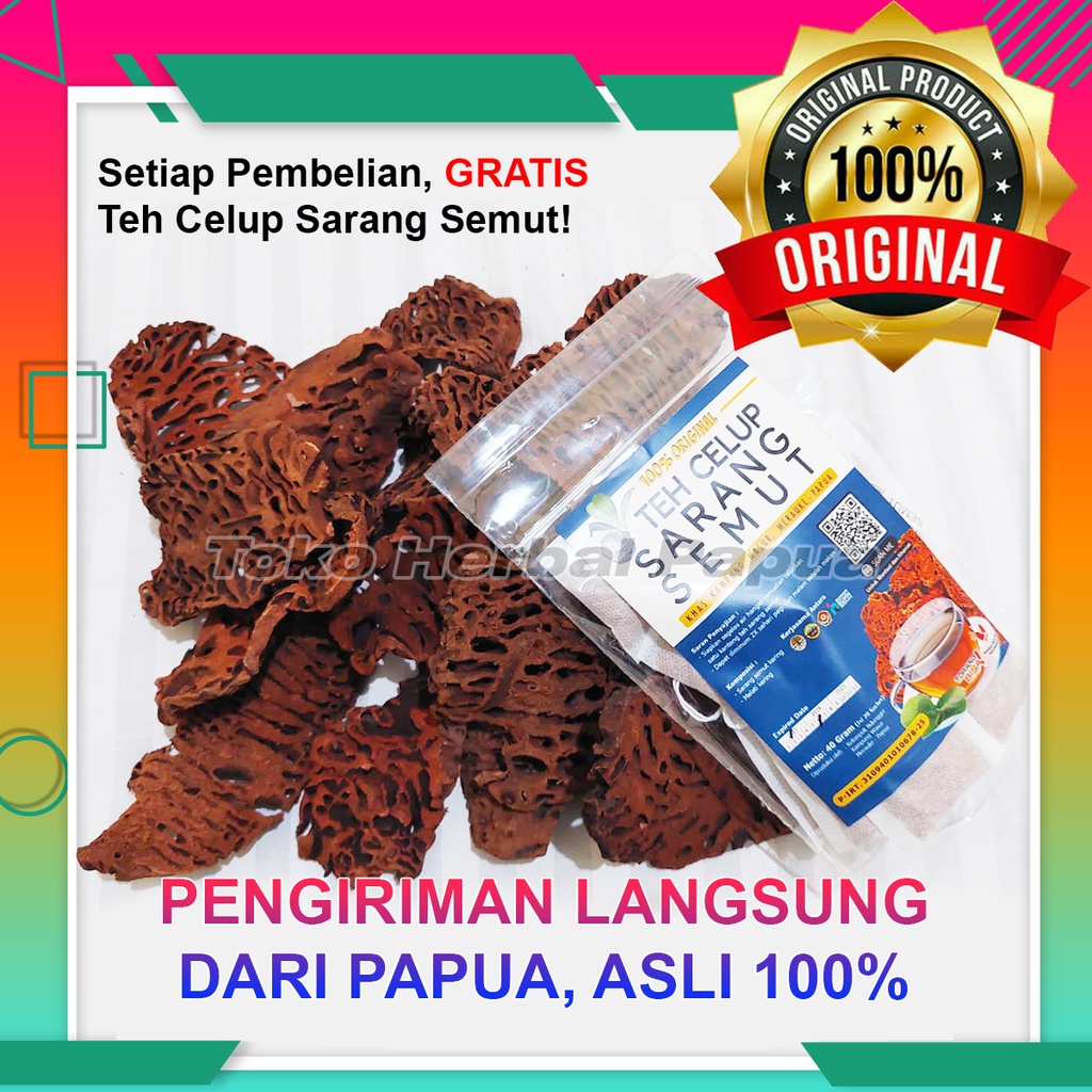 Jual SARANG SEMUT ASLI PAPUA 100 GRATIS SARANG SEMUT KEMASAN TEH