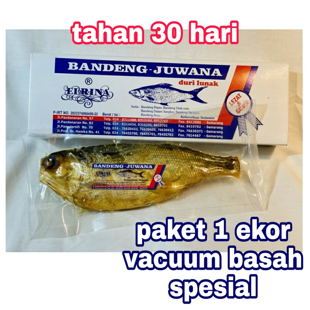 Jual Bandeng Presto Duri Lunak Vacuum Basah Spesial Juwana Elrina