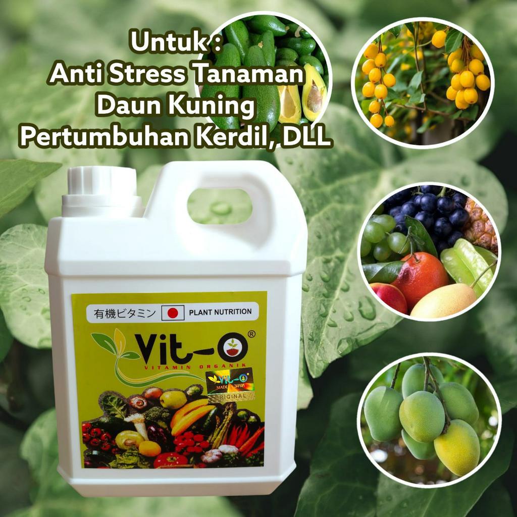 Jual Pupuk Vit O Bahan Organik Plant Nutrition 1 Liter Untuk Semua