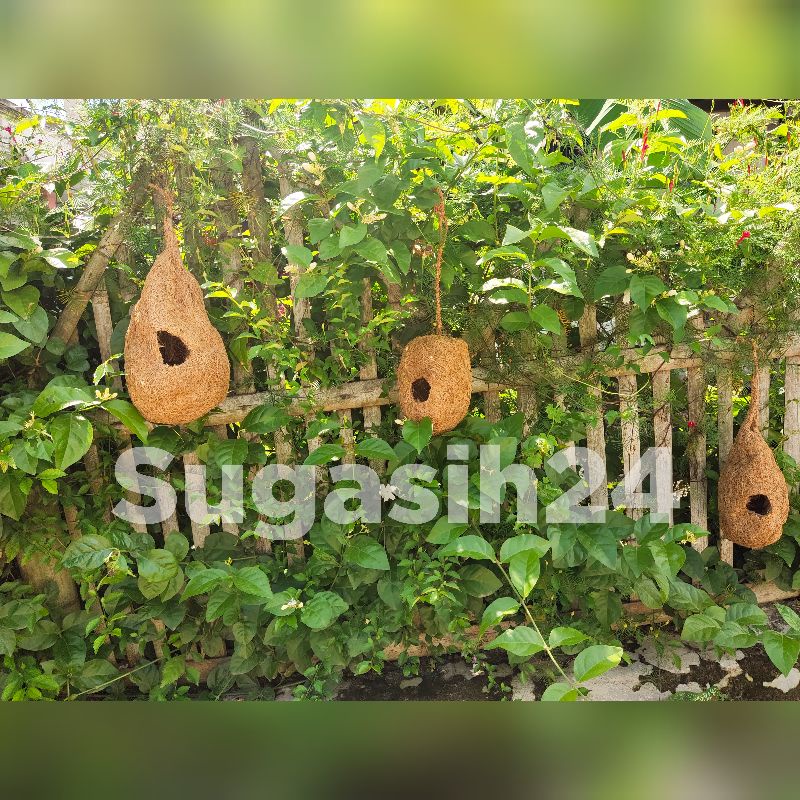 Jual Aviary Susuh Burung Kandang Bertelur Sarang Shopee Indonesia