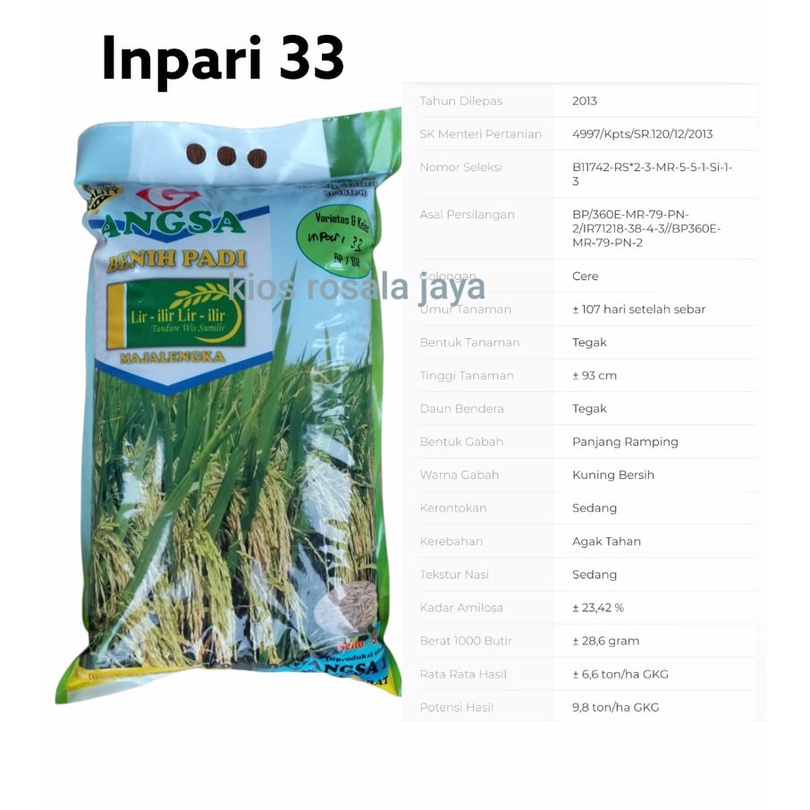 Jual Benih Padi Unggul Inpari 33 Shopee Indonesia