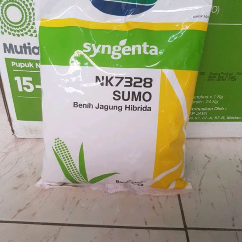 Jual Benih Jagung Hibrida Nk7328 Sumo Kemasan 1kg Shopee Indonesia