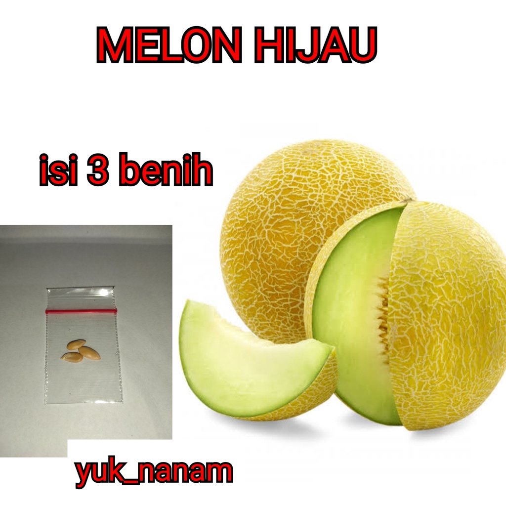 Jual Benih Melon Hijau F Hibrida Melani Bibit Tanaman Buah Melon