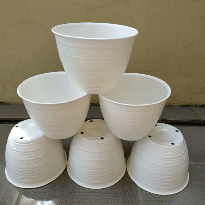 Jual Pot Bunga Tawon Ukuran Cm Shopee Indonesia