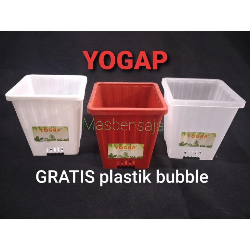 Jual Pot Yogap Kotak Asli Original Shopee Indonesia