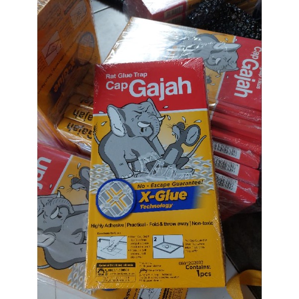 Jual LEM TIKUS PAPAN Lem Trap Perangkap Tikus Siap Pakai 70gr Cap Gajah