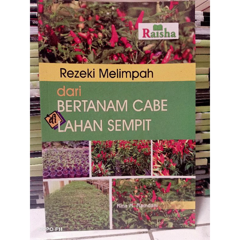 Jual Buku Budidaya Cabai Rezeki Melimpah Dari Bertanam Cabai Dilahan