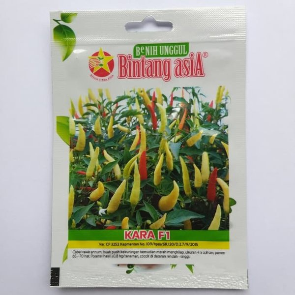 Jual Benih Biji Bibit Cabe Rawit Hibrida Putih Kara F Bintang Asia Isi