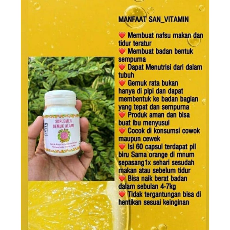 Jual Obat Penggemuk Badan San Vitamin Gemuk Alami Gemuk Sehat Gemuk