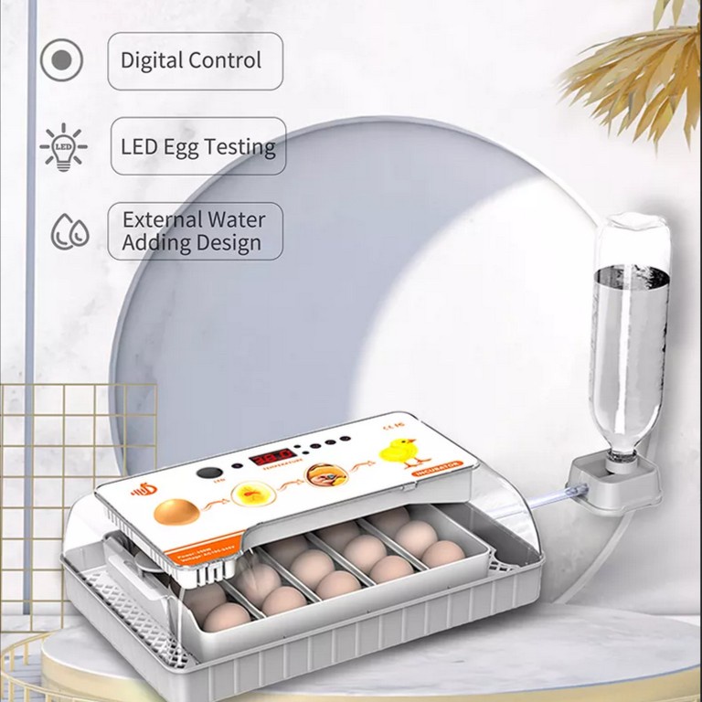 Jual HHD Automatic Egg Incubator For 20 Chicken Eggs Inkubator Telur