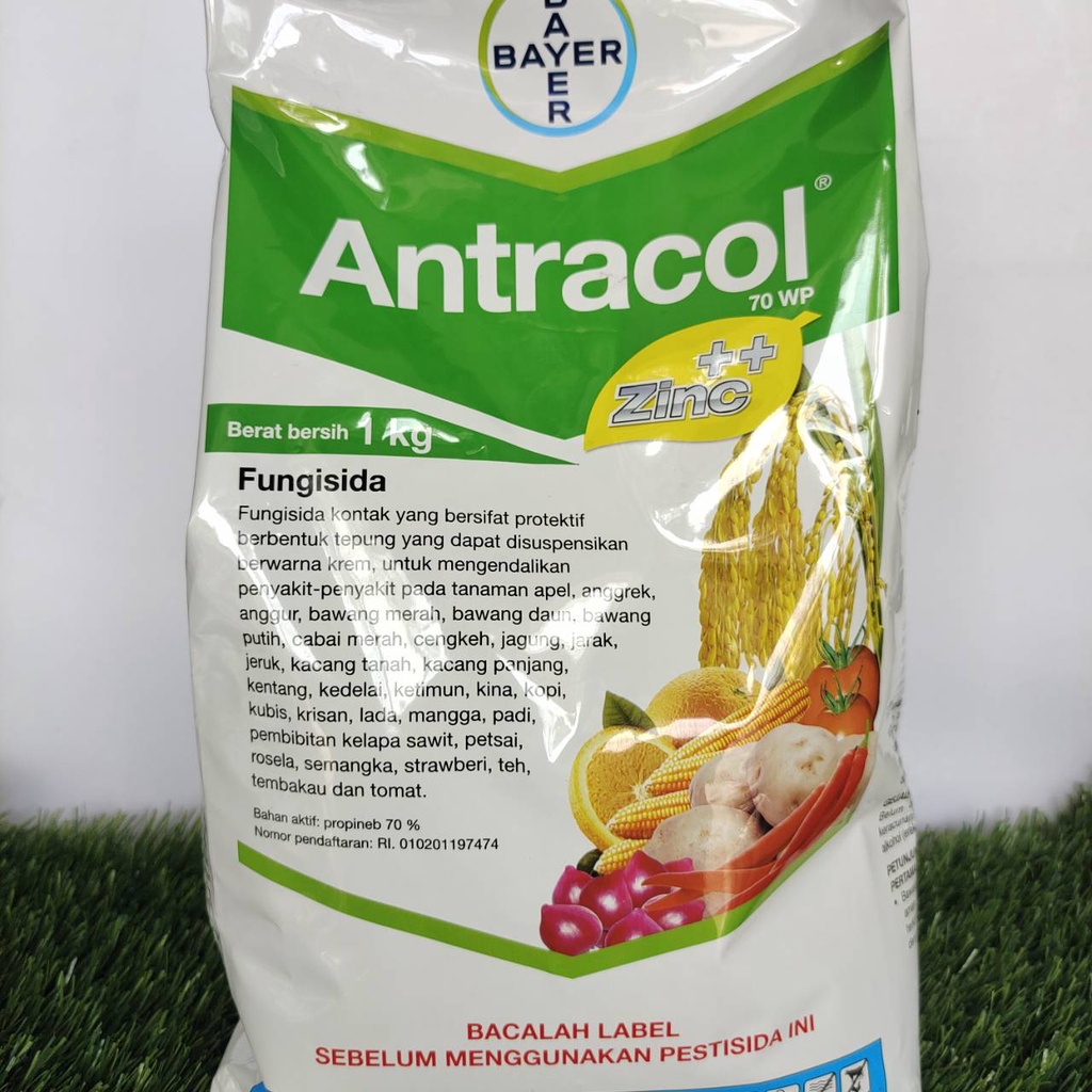 Jual FUNGISIDA ANTRACOL 70WP 1kg Shopee Indonesia