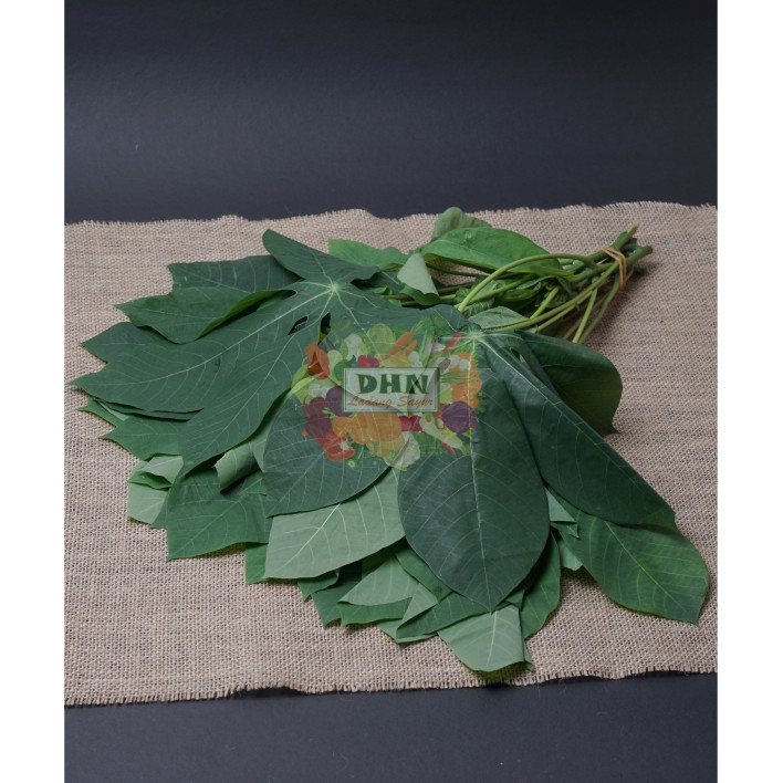 Jual Daun Singkong Per Ikat Shopee Indonesia