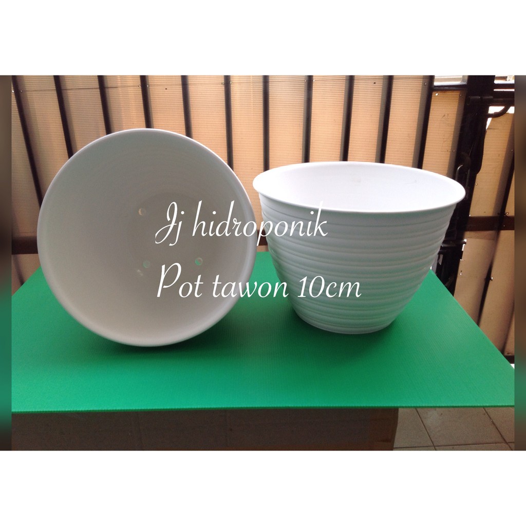 Jual Pot Tawon Cantik Putih Diameter Cm Isi Pot Shopee Indonesia