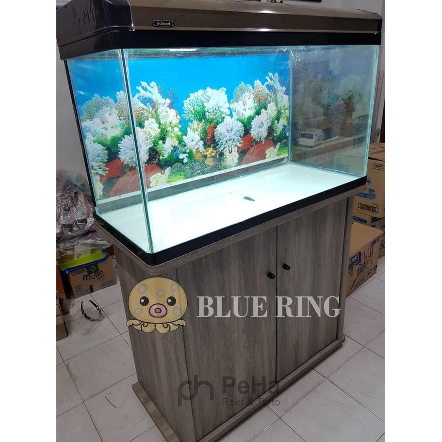 Jual Open Ds Aquarium Ikan Hias Aquascape Coral Fishland Aerator