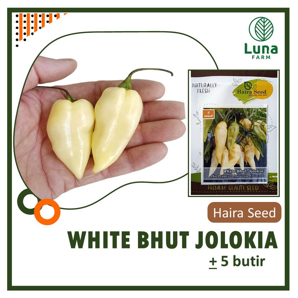 Jual Benih Cabai White Bhut Jolokia Haira Seed Kemasan Urban Isi 5