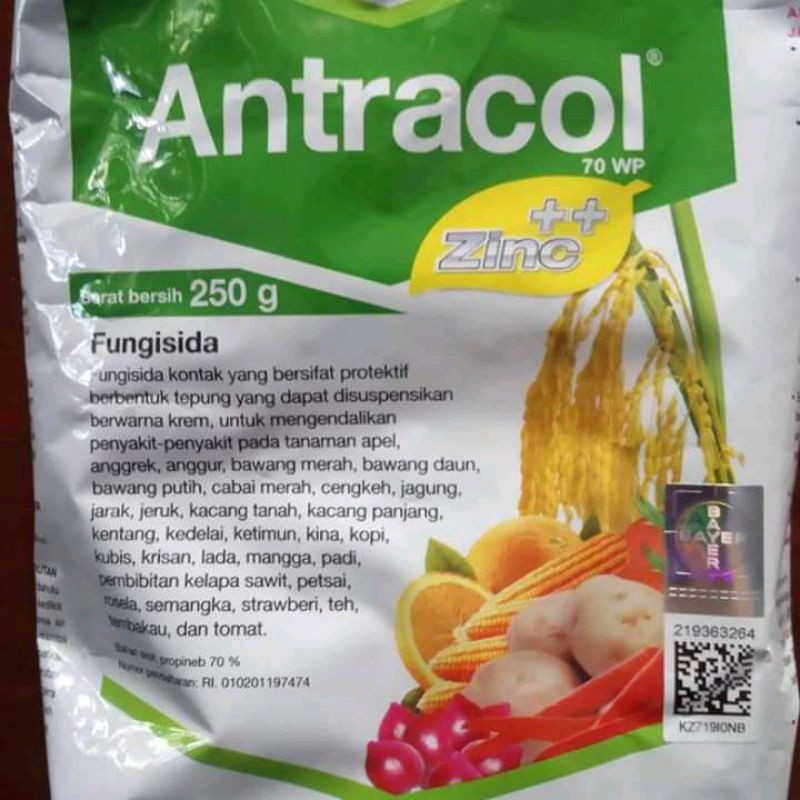 Jual Fungisida Antracol 70 Wp 250gram Shopee Indonesia