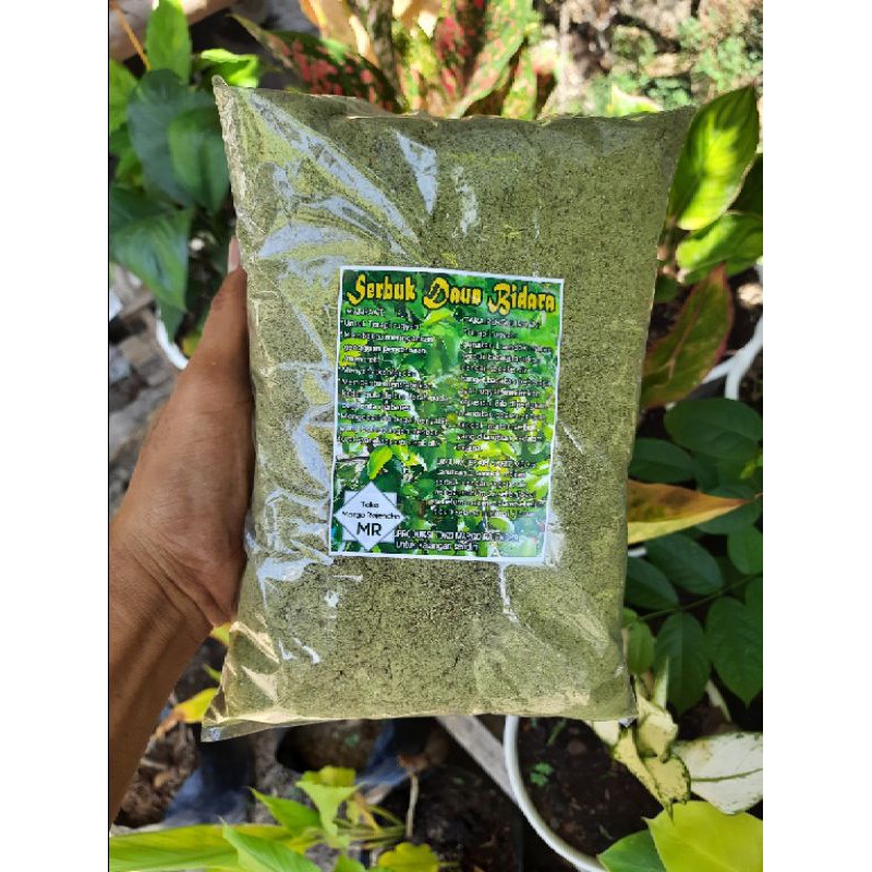 Jual Serbuk Bubuk Daun Bidara MURNI Isi 500gram Shopee Indonesia