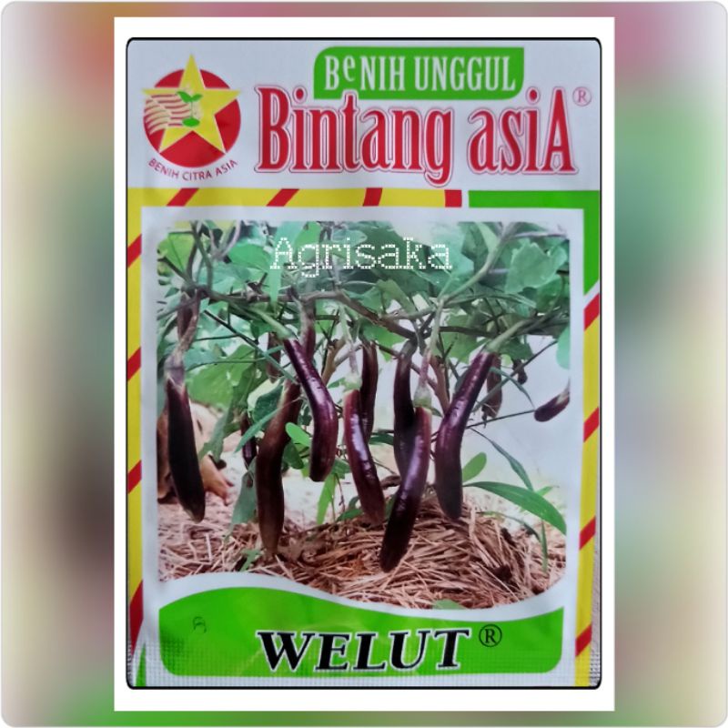 Jual Benih Terong Panjang Ungu Welut Gram Bintang Asia Shopee