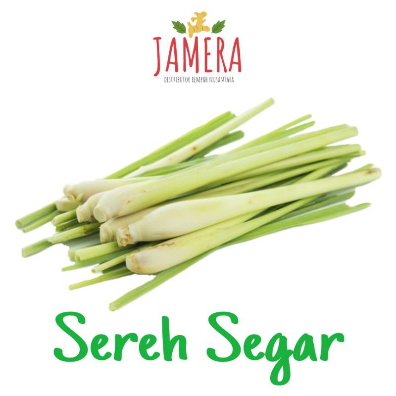 Jual Sereh Segar Serai Segar Daun Sereh Daun Serai Shopee Indonesia