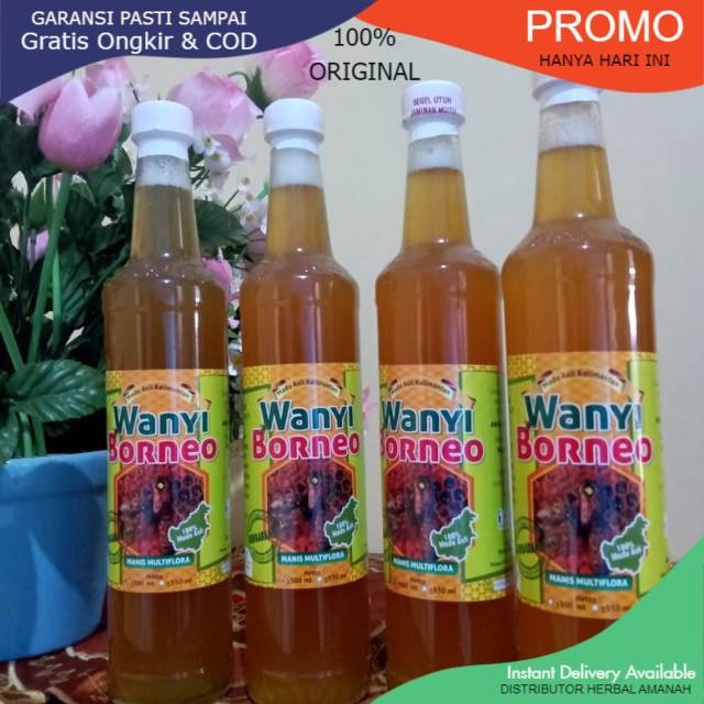 Jual MADU ASLI 100 WANYI BORNEO HUTAN KALIMANTAN MADU MURNI