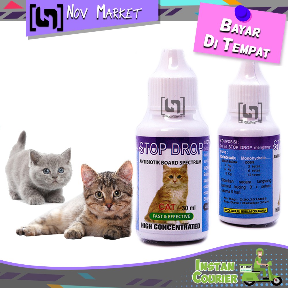 Jual Obat Antibiotik Gejala Flu Batuk Pilek Kucing Stop Drop Ml