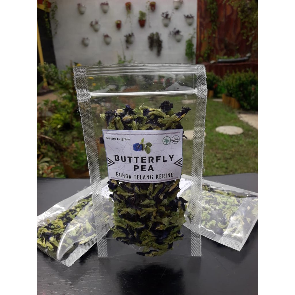 Jual Teh Bunga Telang Kering Organik Butterfly Pea Shopee Indonesia