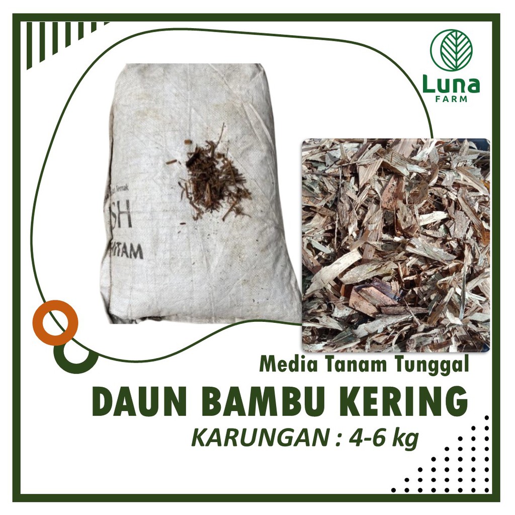 Jual Media Tanam Humus Daun Bambu Kering Karungan Murah Cocok Untuk