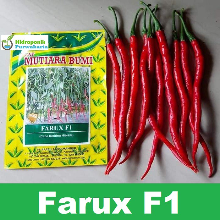 Jual Benih Cabe Cabai Keriting Hibrida Farux F Gram Cap Mutiara