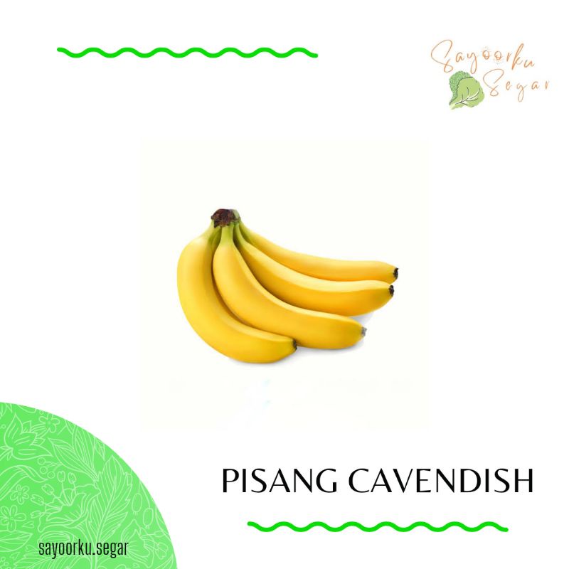 Jual Pisang Cavendish Pisang Mas Pisang Candi Kepok Ambon Hijau