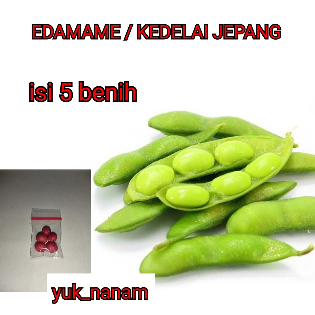 Jual Benih Kedelai Edamame Super Bibit Sayuran Ryoko Kacang Jepang