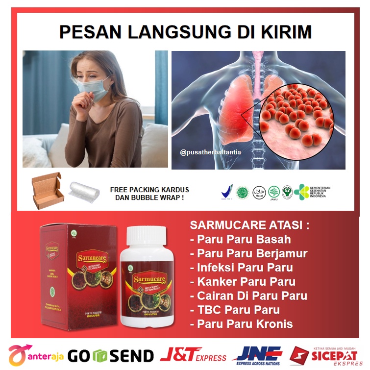 Jual Obat Paru Paru Bocor Radang Paru Paru Flek Hitam Paru Paru