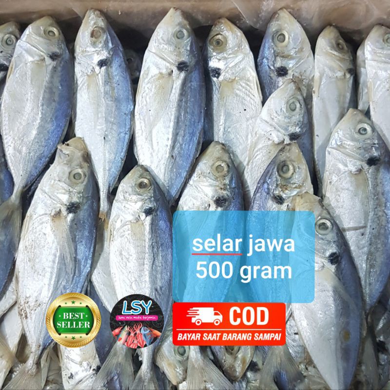 Jual Ikan Asin Selar Size Jumbo 500gr Shopee Indonesia