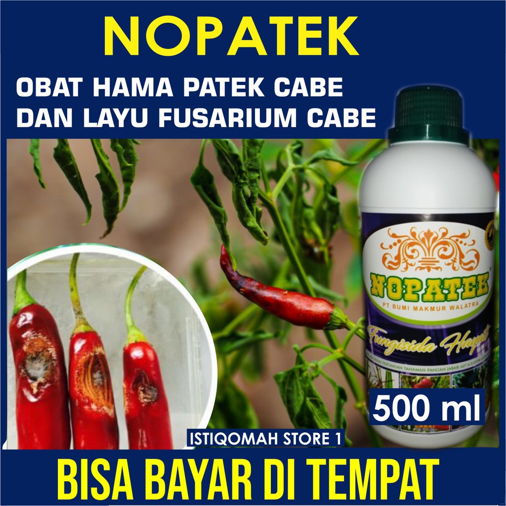 Jual Nopatek Fungisida Hayati Atasi Cabe Rawit Busuk Kering Obat Patek