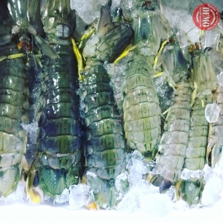 Jual Udang Segar Ronggeng Seafood Segar Fresh Bergaransi Kg Shopee