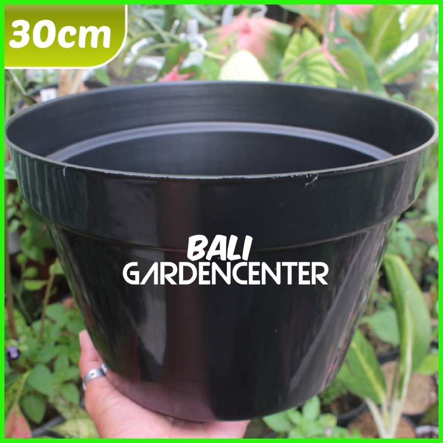 Jual Pot Plastik Hitam 30cm Pot Tanaman Ukuran 30cm Shopee Indonesia